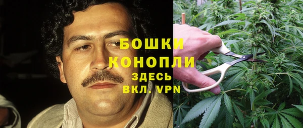 тгк Белокуриха