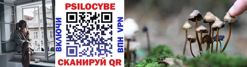 Галлюциногенные грибы ЛСД  Гулькевичи 